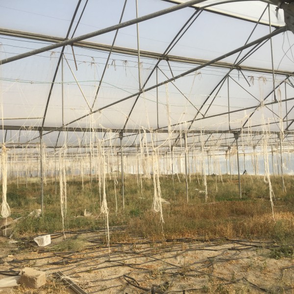 فروش گلخانه با تمام امکانات