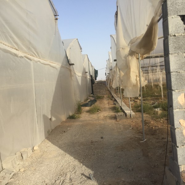فروش گلخانه با تمام امکانات