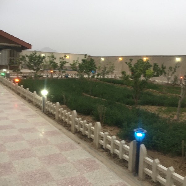 اجاره باغ روزانه ویکساله