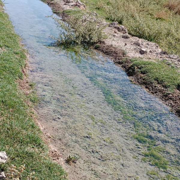 فروش زمین باغی در اصفهانک مناسب سرمایگذاری