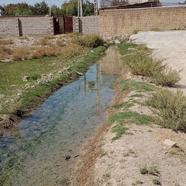 فروش زمین باغی در اصفهانک مناسب سرمایگذاری