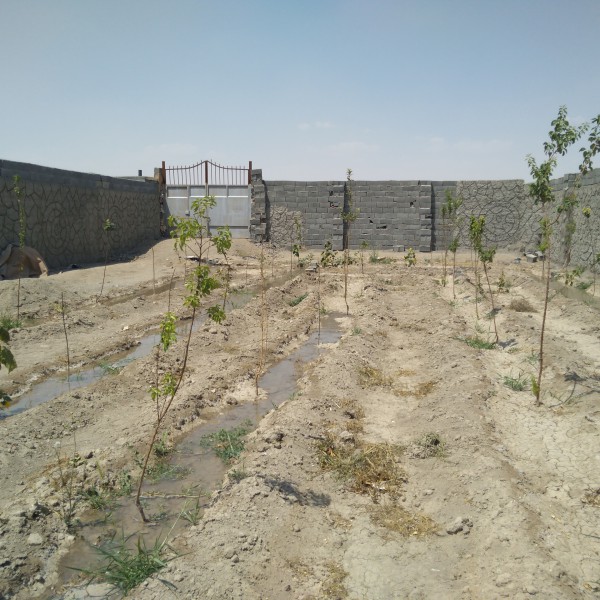 فروش باغ در دستجا 600متر