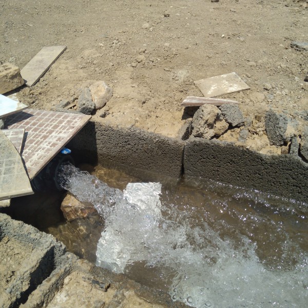 فروش باغ در دستجا 600متر