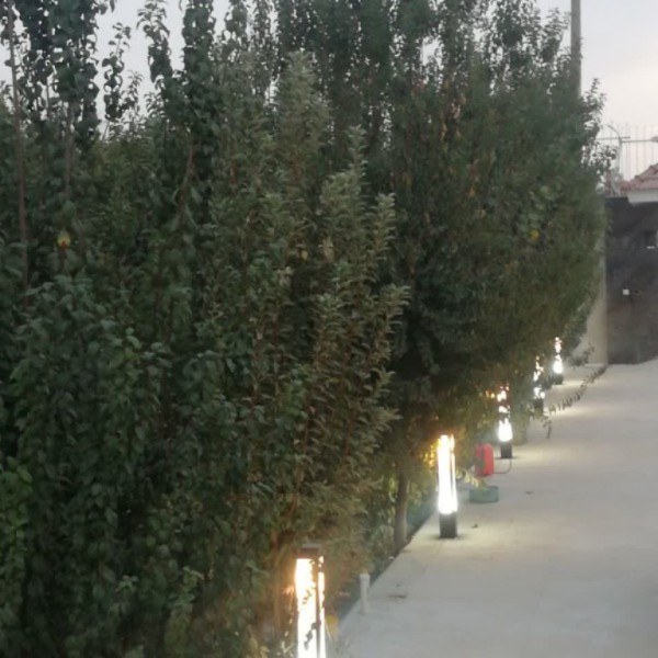 اجاره باغ شیک