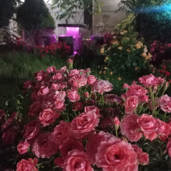 اجاره روزانه ویلاشیک برای خانواده