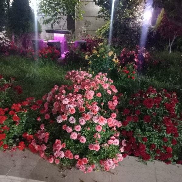 اجاره روزانه ویلاشیک برای خانواده