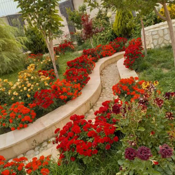 اجاره روزانه ویلاشیک برای خانواده