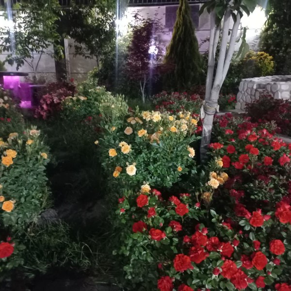 اجاره روزانه ویلاشیک برای خانواده