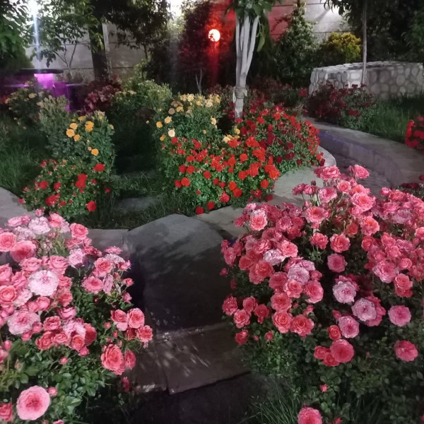 اجاره روزانه ویلاشیک برای خانواده