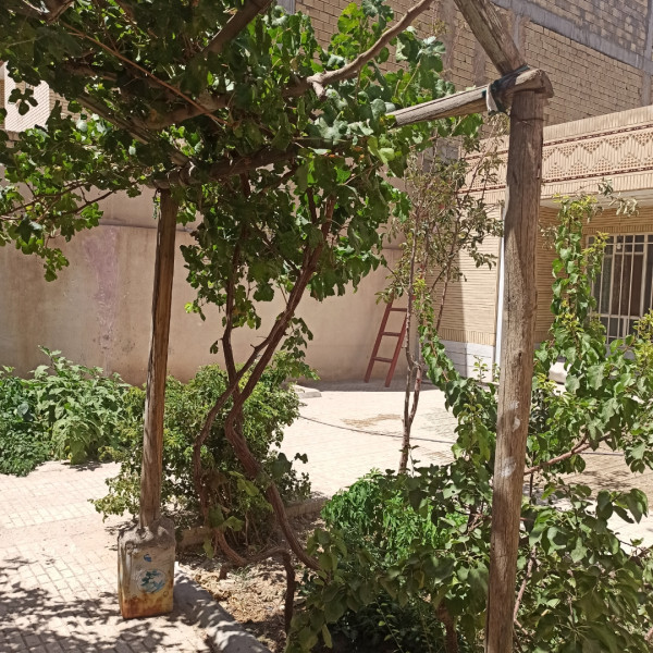 اجاره خانه ویلایی در ورنامخواست لنجان