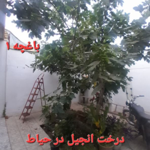 اجاره منزل مسکونی در چریان