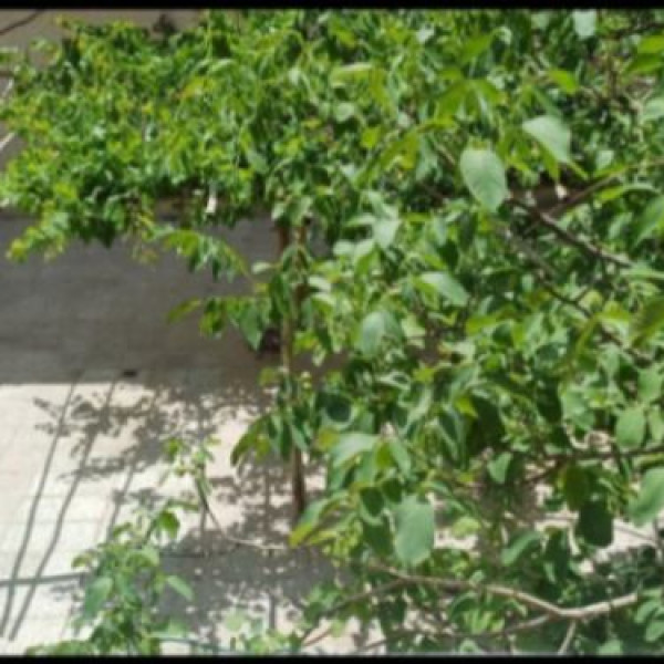 ویلایی دو طبقه ۳۸۰ متر سند ۶ دانگ