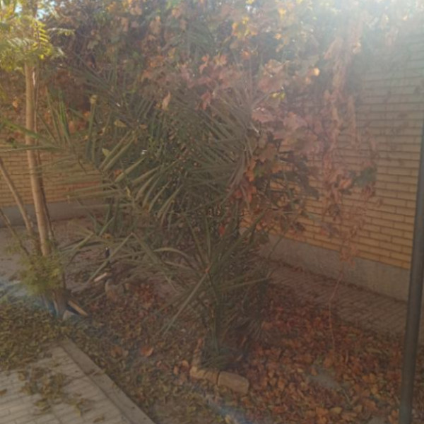 فروش منزل ویلایی در اصفهانک