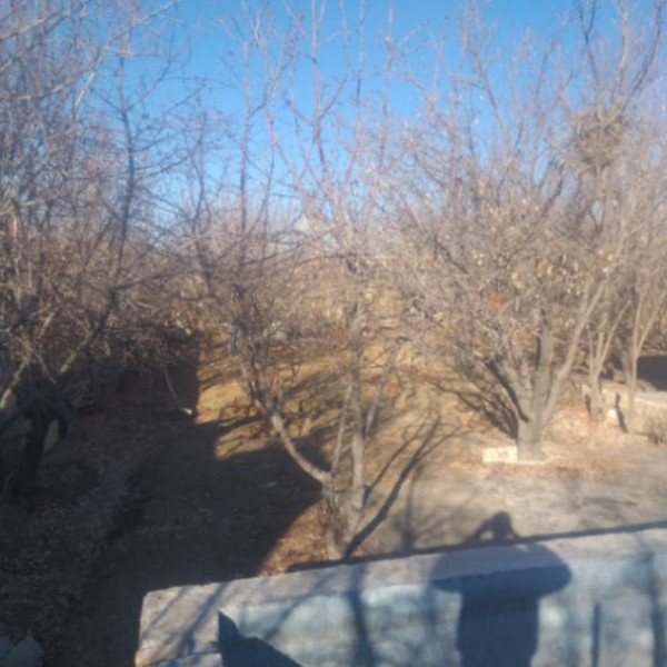 باغ ۱۰۰۰ متری دنج و با صفا