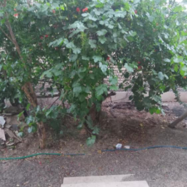 فروش منزل ویلایی در اصفهانک
