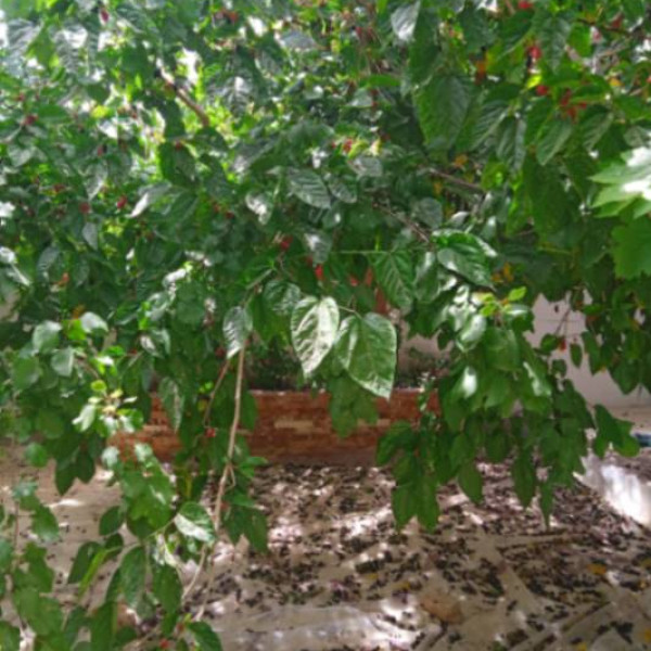فروش منزل مسکونی در اصفهانک