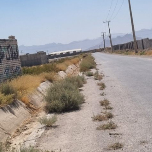زمین باغی