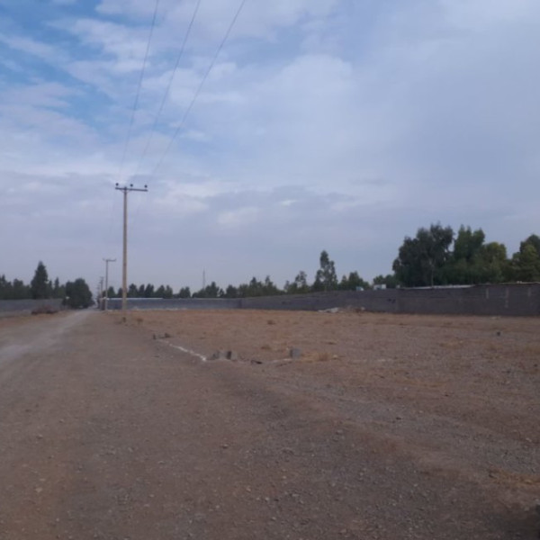 زمین باغی سندار