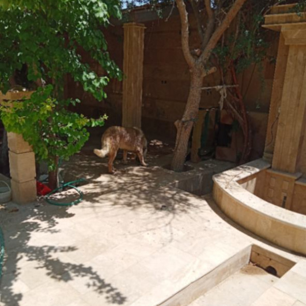 اجاره باغ سالیانه در ابشار سوم اول خیابان نگارستان