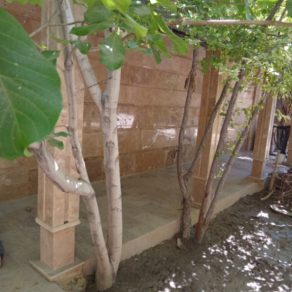 اجاره باغ سالیانه در ابشار سوم اول خیابان نگارستان