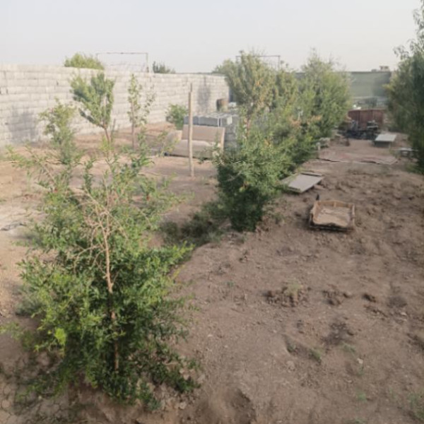 باغچه چهاردیواری اصفهان