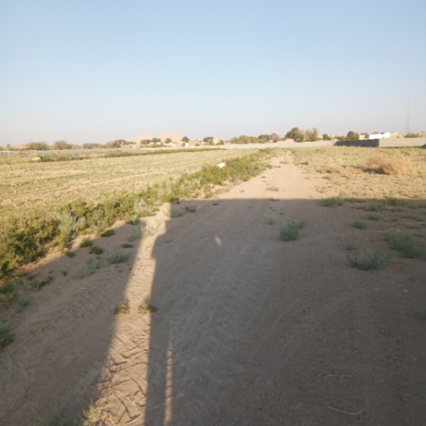 فروش زمین باغی در اصفهانک