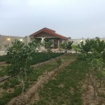 اجاره باغ روزانه ویکساله