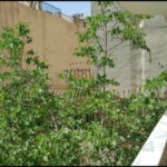 ویلایی دو طبقه ۳۸۰ متر سند ۶ دانگ