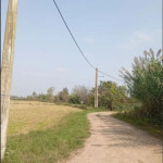 زمین کشاورزی مناسب باغ یا گلخانه درچه ولاشان - خمینی شهر - املاک اصفهان