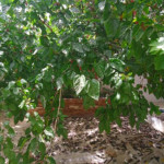 فروش منزل مسکونی در اصفهانک - اصفهانک - املاک اصفهان