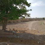 فروش زمین باغی در اصفهانک - اصفهانک - املاک اصفهان