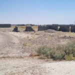 زمین باغی