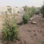 باغچه چهاردیواری اصفهان - حاشیه اصفهان - املاک اصفهان