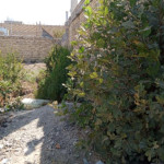 فروش زمین مسکونی در اصفهانک - اصفهانک - املاک اصفهان
