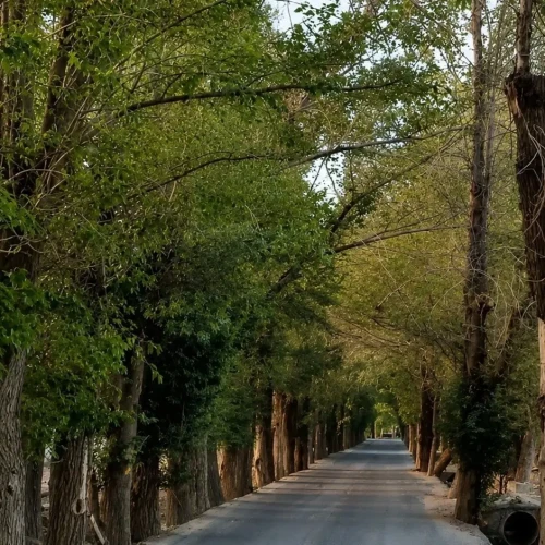 خرید وفروش باغ در اصفهانک